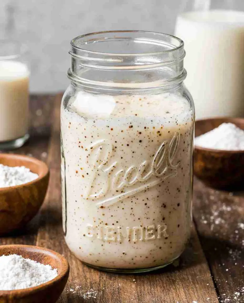 How to Freeze Amish Starter
